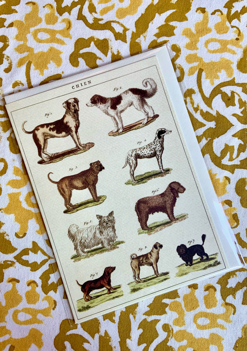 Nine Dogs Card
