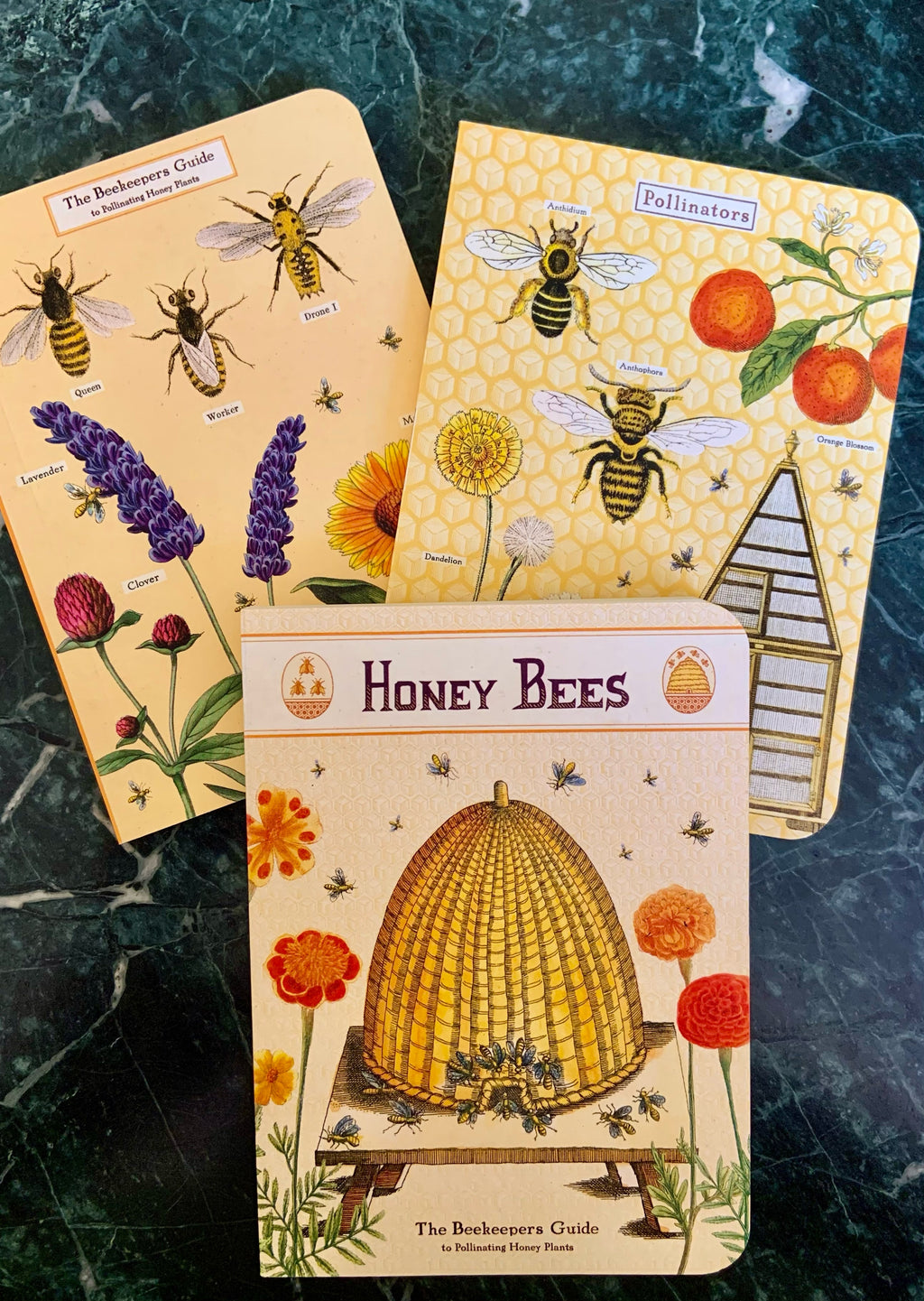 Honey Bee Notebook Set