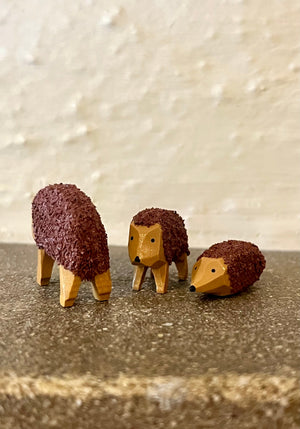 Miniature Hedgehog Family