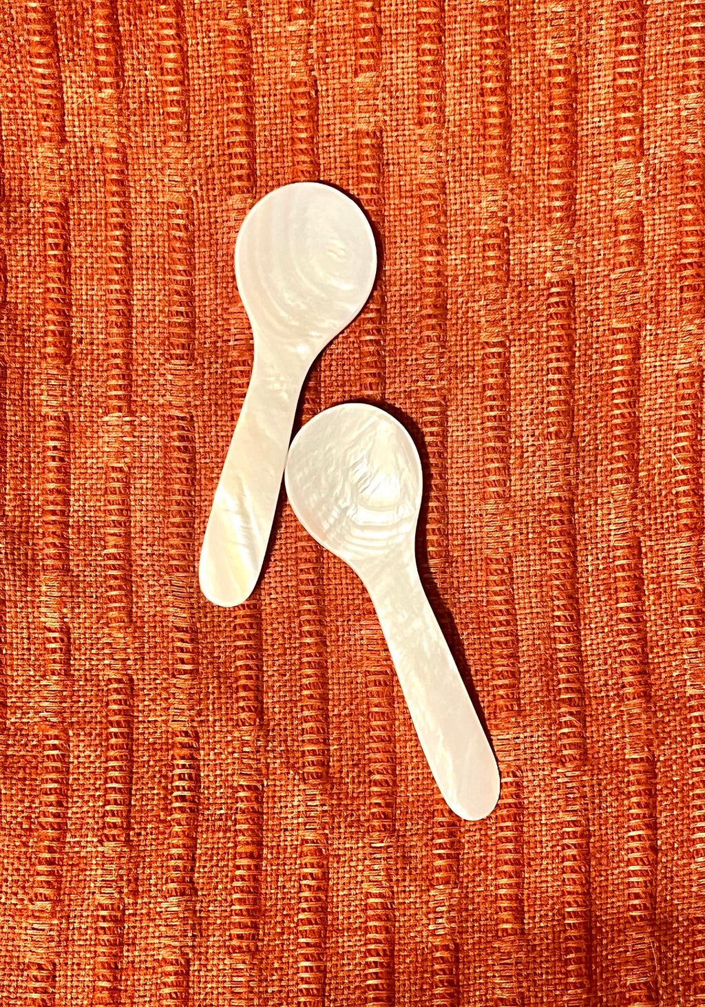 Seashell Mini Spoons