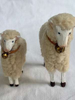 Pair of Fluffy Sheep