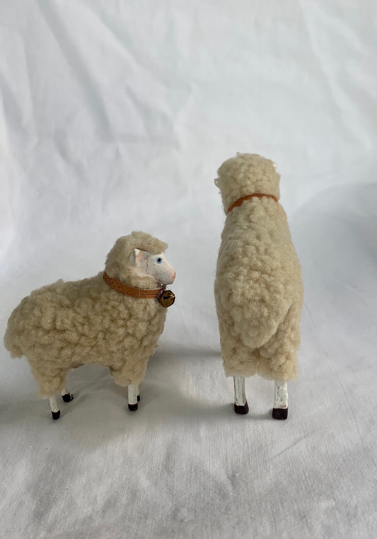Pair of Fluffy Sheep