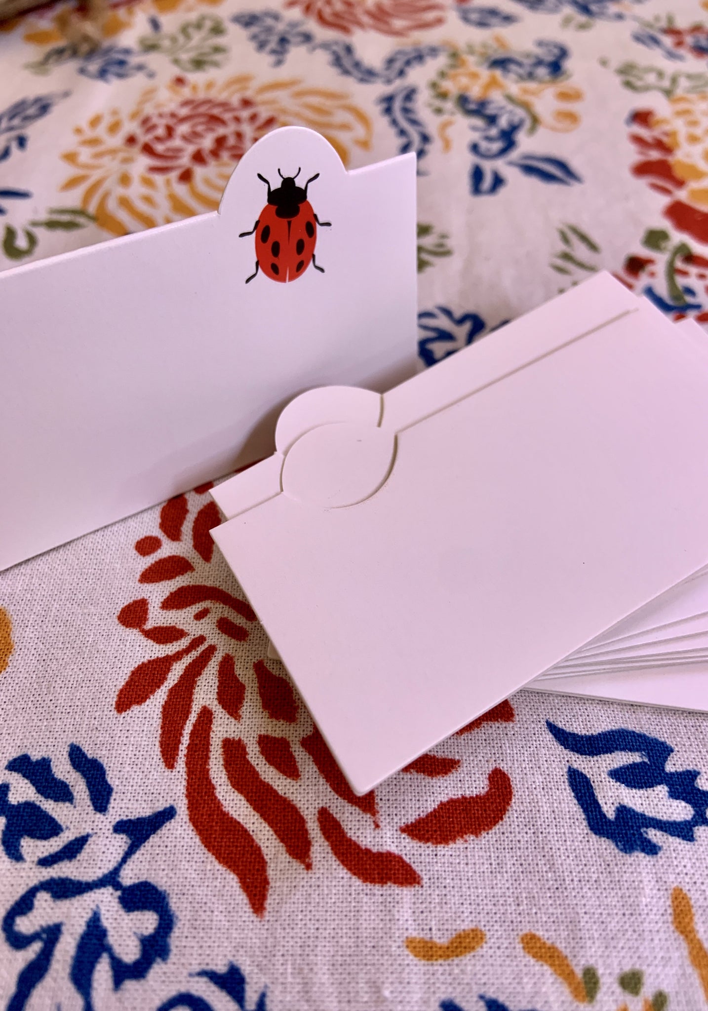 Ladybug Place Cards