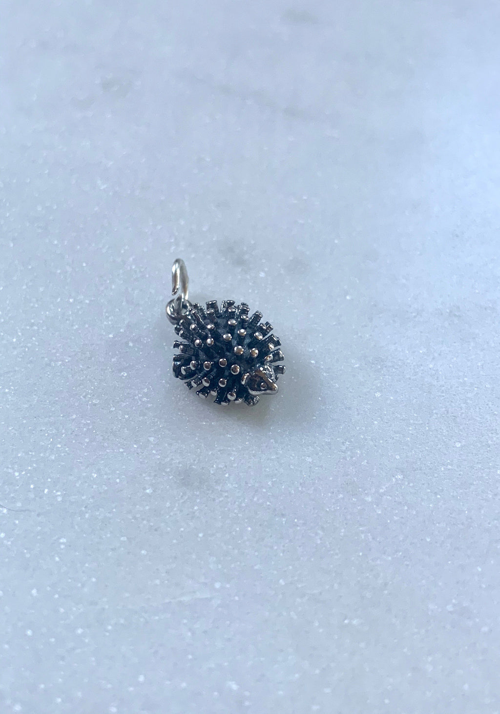 Hedgehog Charm