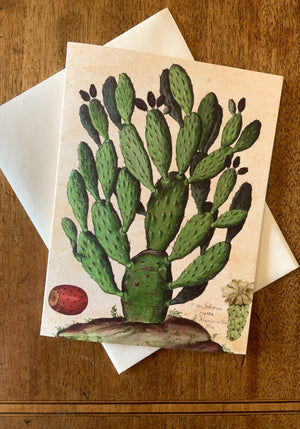 Nopal Card