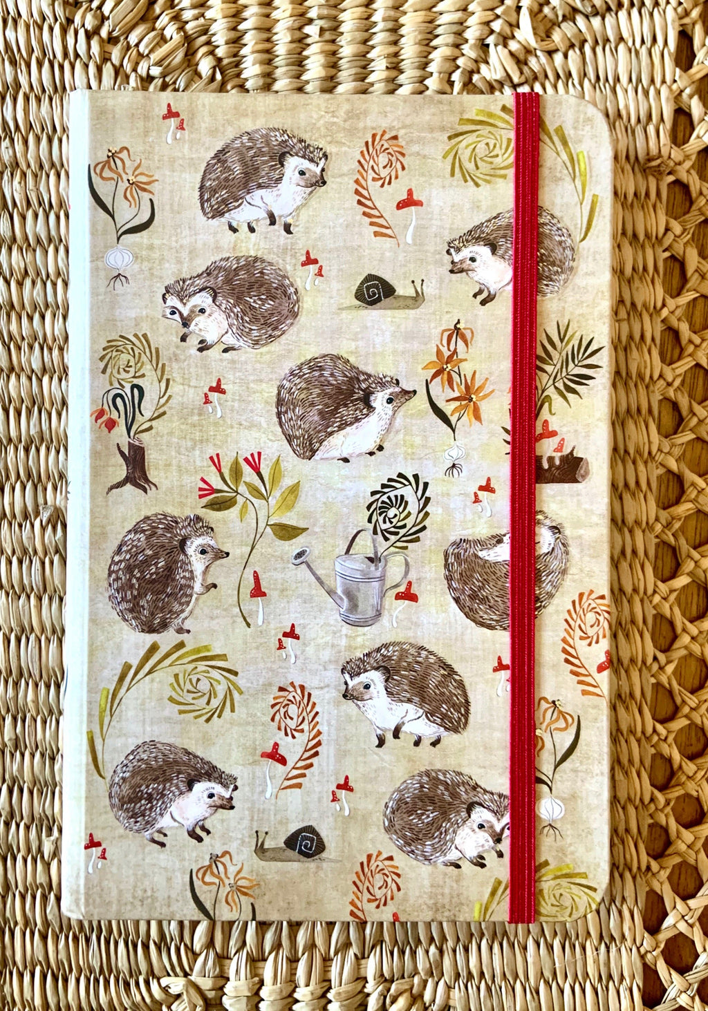 Hedgehog Journal