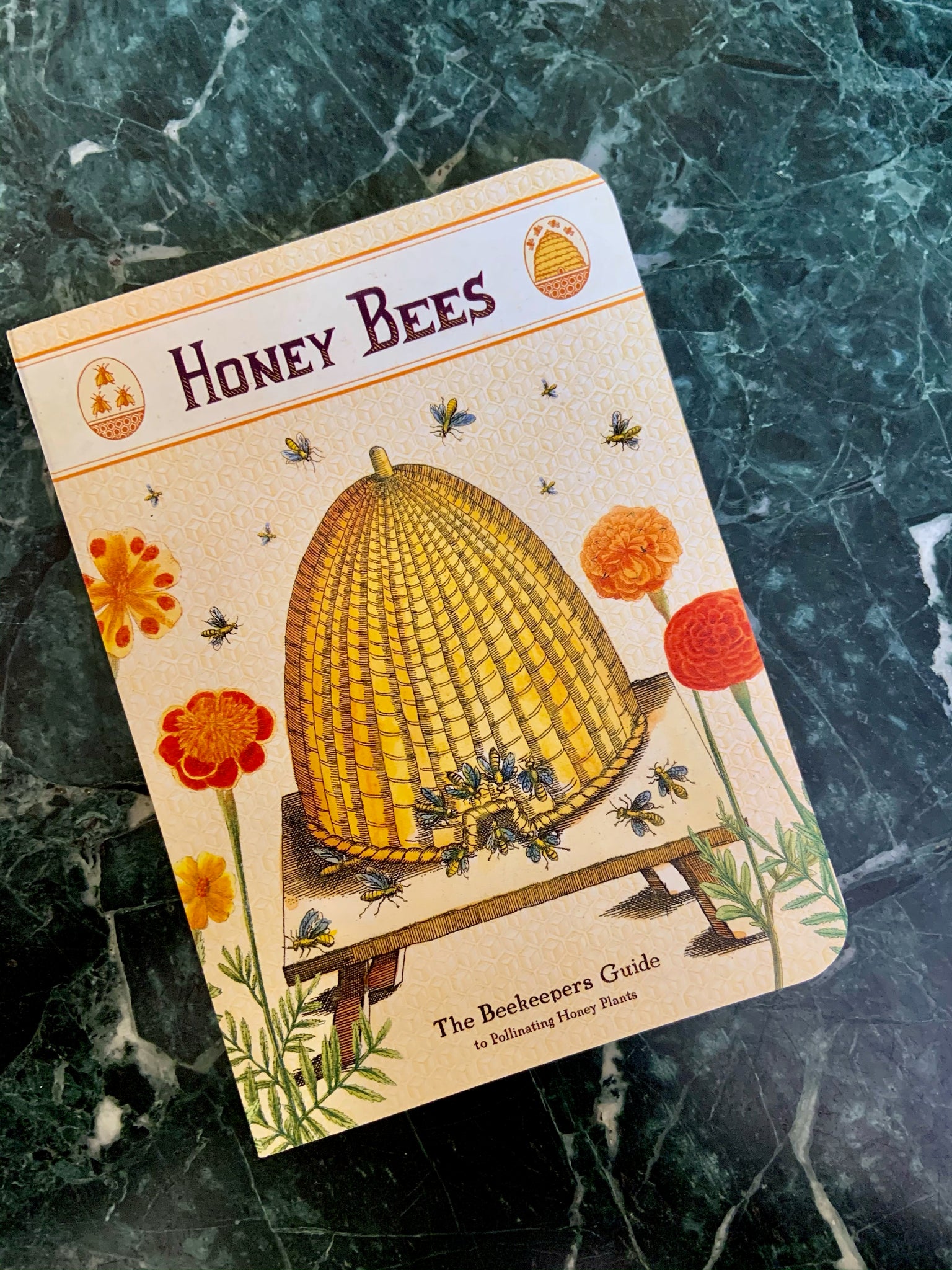 Honey Bee Notebook Set