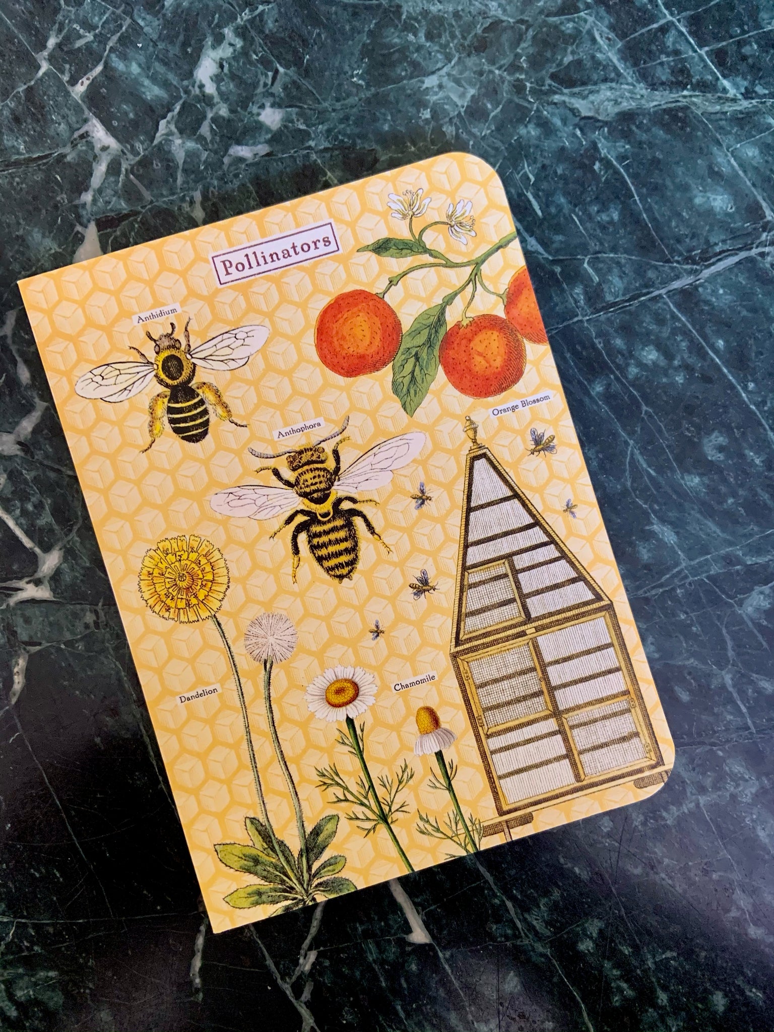 Honey Bee Notebook Set