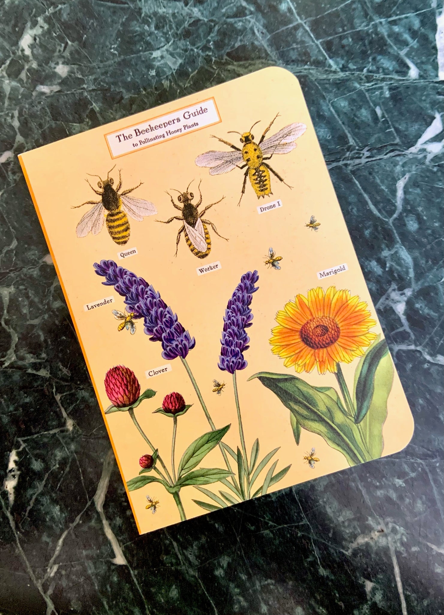 Honey Bee Notebook Set