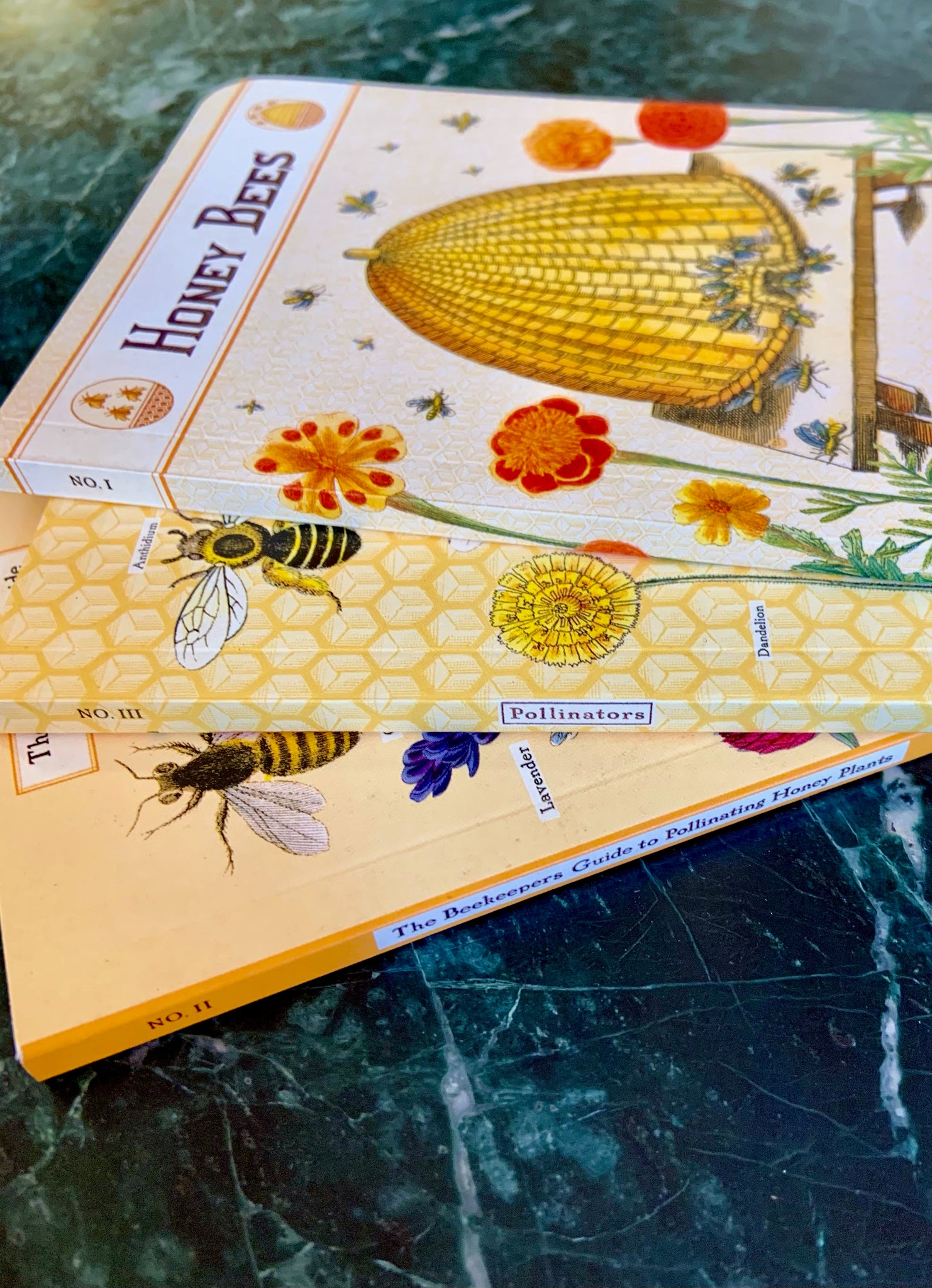 Honey Bee Notebook Set