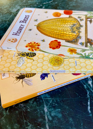 Honey Bee Notebook Set